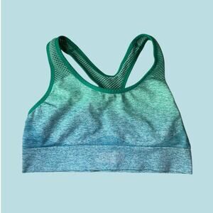 PINK Active Sports Bra Racerback Ombré Green Mesh Large